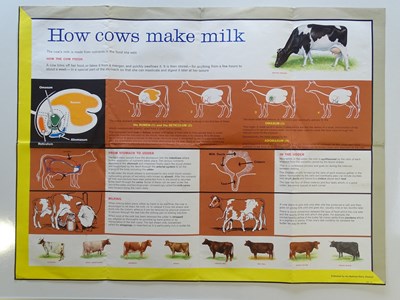 Lot 152 - A large quantity of educational posters for...