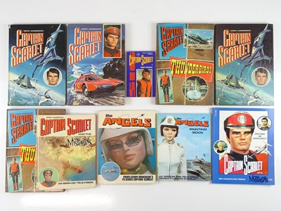 Lot 520 - A group of GERRY ANDERSON'S 'CAPTAIN SCARLET...