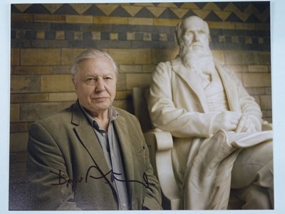Lot 31 - A signed 10x8 colour photograph - DAVID...