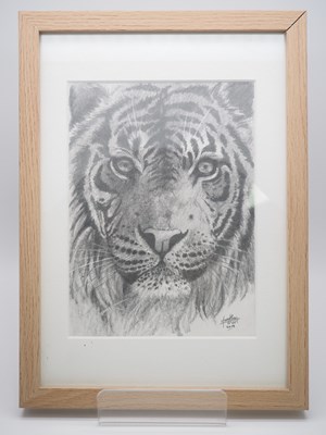 Lot 25 - Jonathan Truss - 'TIGER' -  Original pencil...