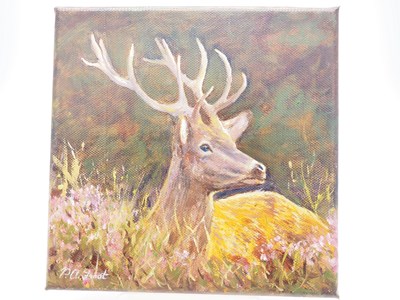 Lot 33 - Peter Frost 'STAG' - oil on canvas - signed -...