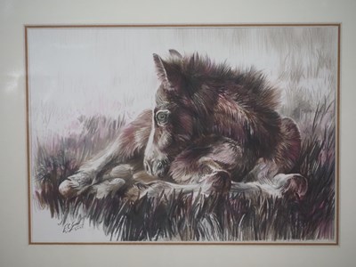 Lot 46 - Elaine C Geall 'NEW FOREST FOAL' - graphite...