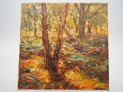 Lot 99 - Barry Peckham 'FOREST' - oil on canvas -...
