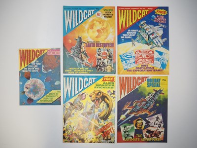 Lot 29 - WILDCAT COMIC #PREVIEW, 1, 2, 3 & HOLIDAY...