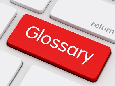 Lot 1 - Glossary of grading and terms used