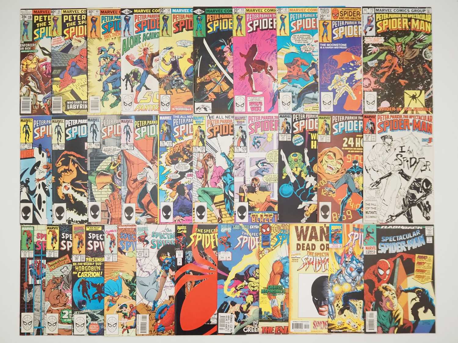 Lot 48 - PETER PARKER: THE SPECTACULAR SPIDER-MAN #19,...