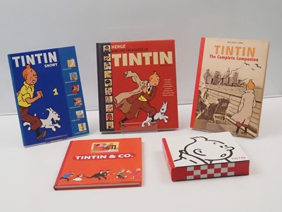 Lot 47 - TINTIN: A group of TINTIN related hardback...