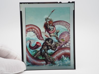 Lot 88 - CONAN LOT (16 in Lot) - Includes THE SAVAGE...
