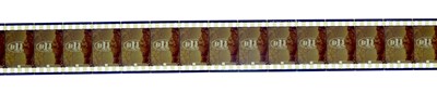 Lot 1073 - Zulu (1979)