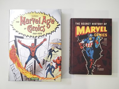 Lot 83 - THE MARVEL AGE OF COMICS 1961-1978 (2017 -...
