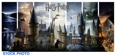 Lot 185 - HARRY POTTER - Journey Through Hogwarts by Ben...