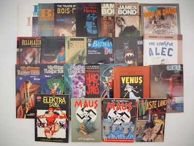 Lot 167 - MIXED GRAPHIC NOVEL/TRADE PAPERBACK LOT (23 in...