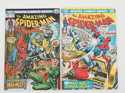 Lot 308 - AMAZING SPIDER-MAN #124 & 125 (2 in Lot) -...