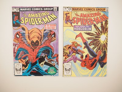 Lot 337 - AMAZING SPIDER-MAN #238 & 239 (2 in Lot) -...