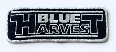 Lot 448 - STAR WARS RETURN OF THE JEDI (1983) 'Blue...