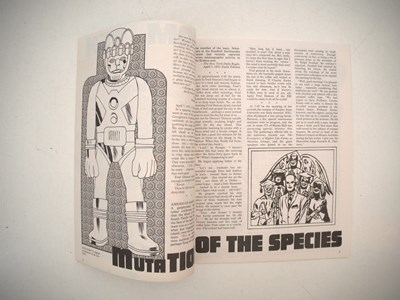 Lot 87 - FOOM MAGAZINE #10 (1975 - MARVEL) - High grade...
