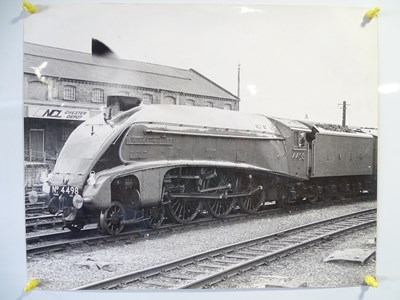 Lot 100 - A quantity of large format black/white...