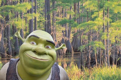Lot 98 - SHREK - An original, rare Studio Oxmox very...